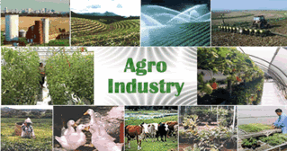 agro-industry