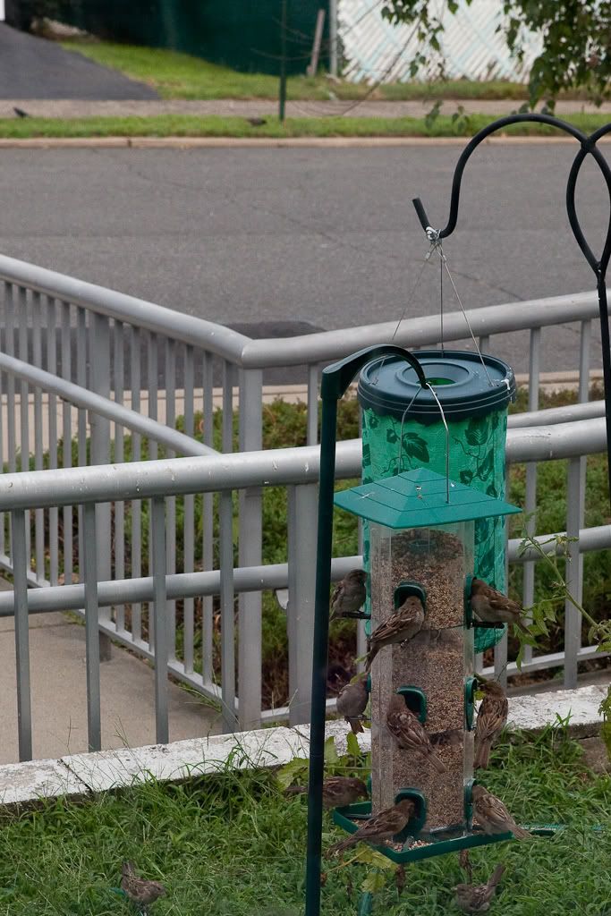 IMAGE: http://i582.photobucket.com/albums/ss262/Crissa7/IMG_1151-2.jpg