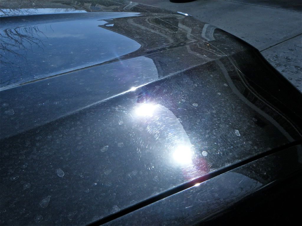 DSCF5037.jpg