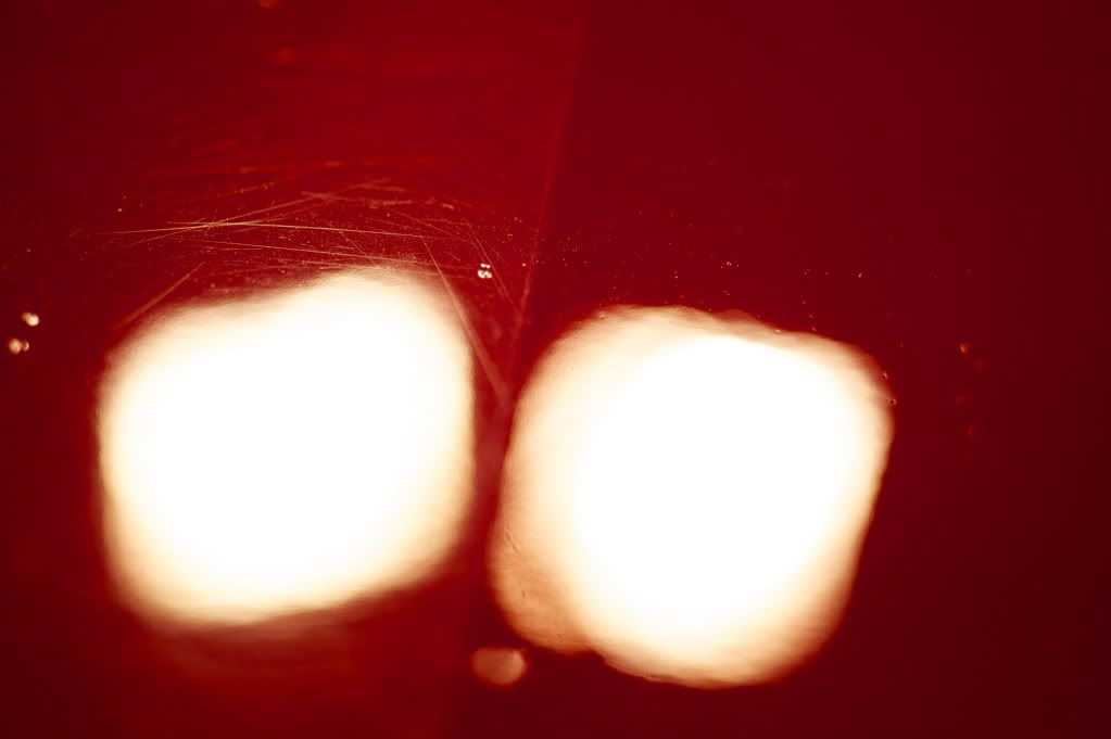 _DSC3184.jpg