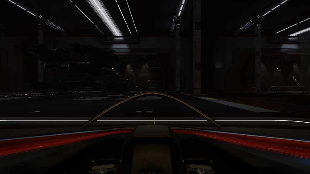 StarCitizen2014-08-0117-45-23-871.png