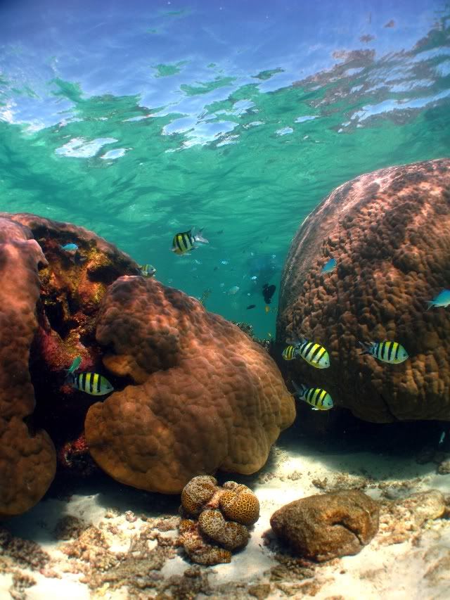 Ningaloo