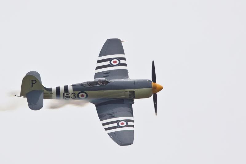 IMAGE: http://i582.photobucket.com/albums/ss264/kb9tdj/POTN/IMG_1132.jpg