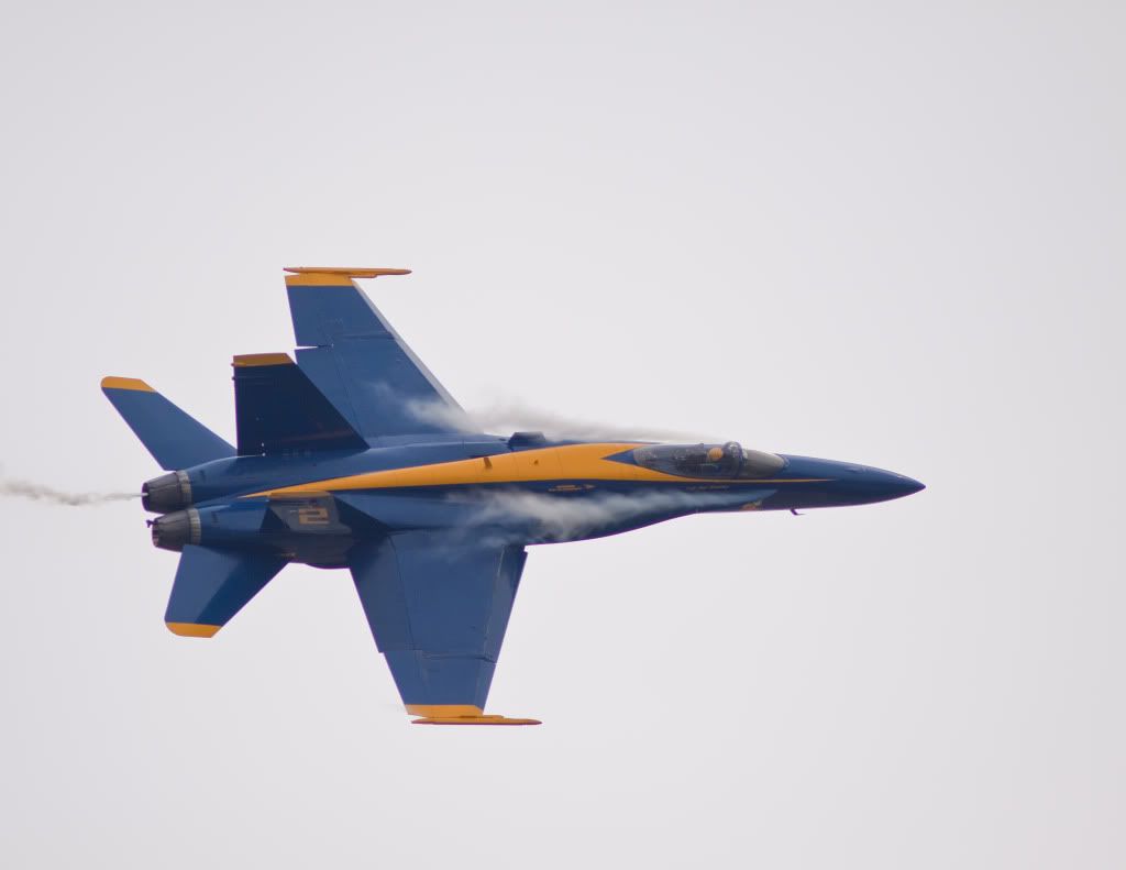 IMAGE: http://i582.photobucket.com/albums/ss264/kb9tdj/POTN/IMG_2462.jpg