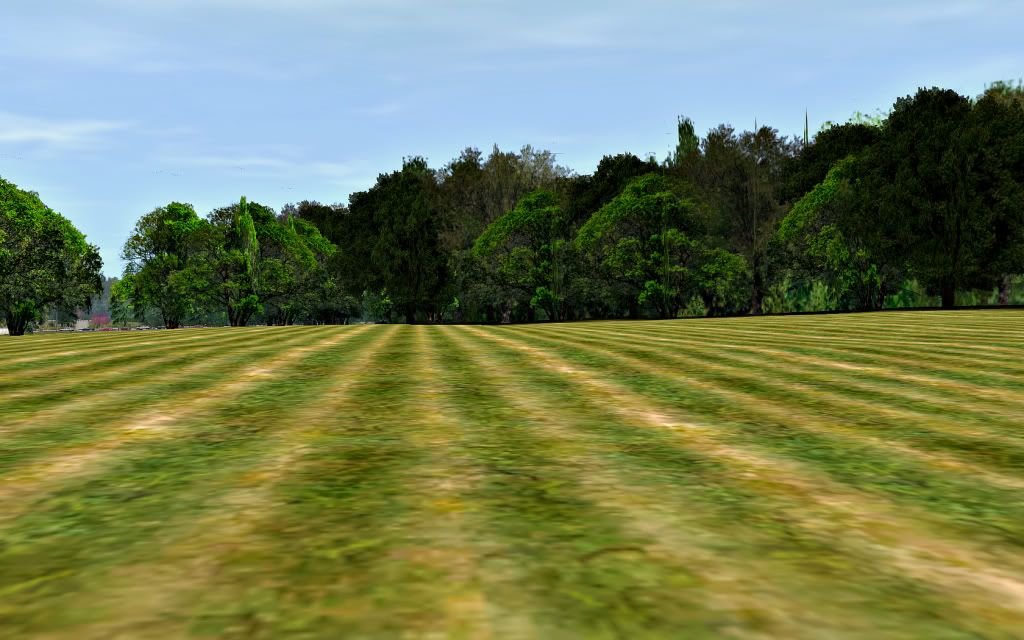 trainz2011-07-2211-24-45-42.jpg