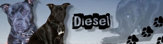 Diesel.jpg