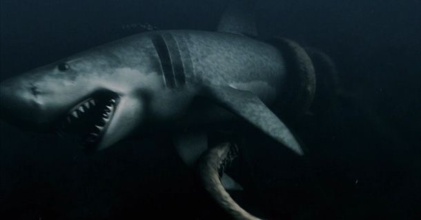 Tiburones freaks