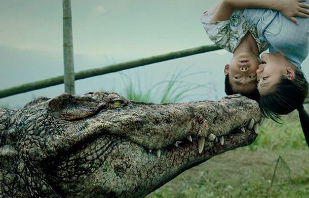 Million Dollar Crocodile
