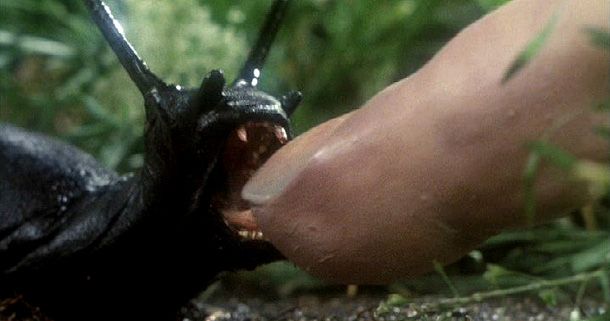 slugs muerte viscosa
