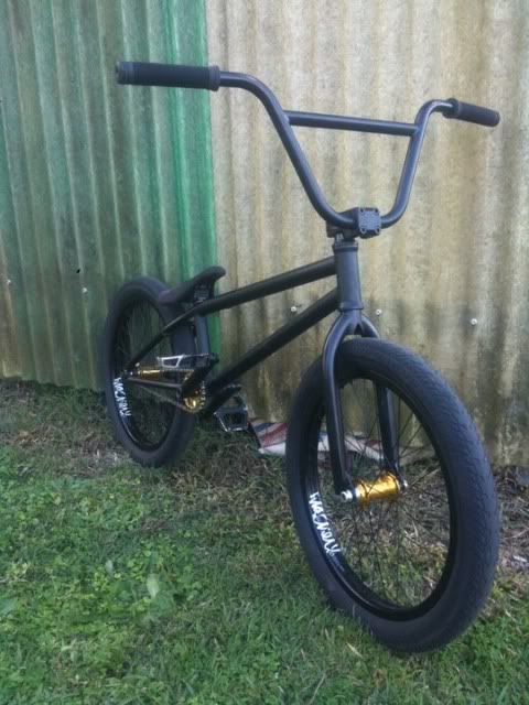 Impurity Bmx