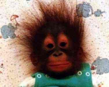 chango