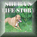Sheba's Life Story