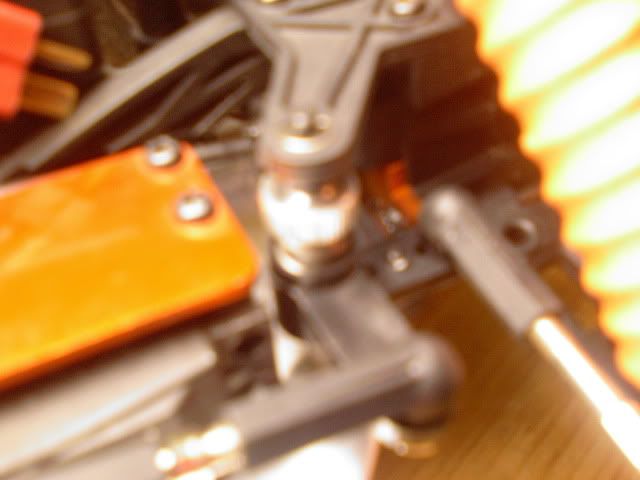Photo-0275.jpg