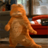 http://i582.photobucket.com/albums/ss269/67401/ANIMATIONS/Garfield.gif