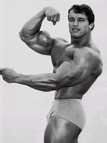 arnold schwarzenegger. Arnold Schwarzenegger