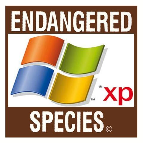 Windows XP Netbooks Endangered Species