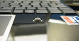 Asus Eee PC hacked to include Mighty Mouse trackball 