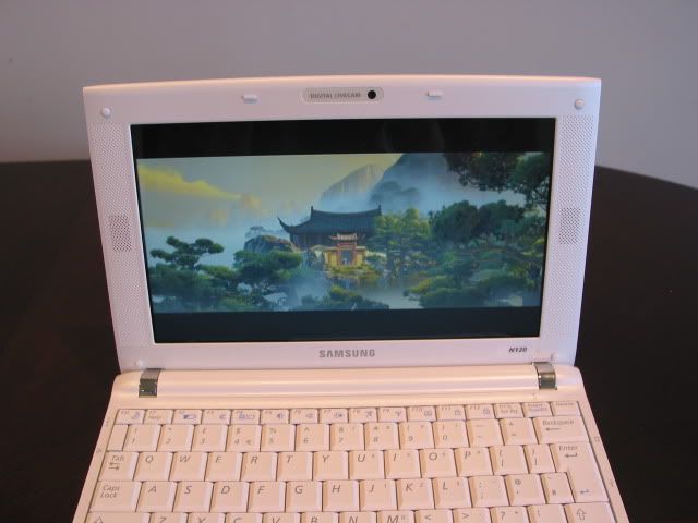 Samsung N120