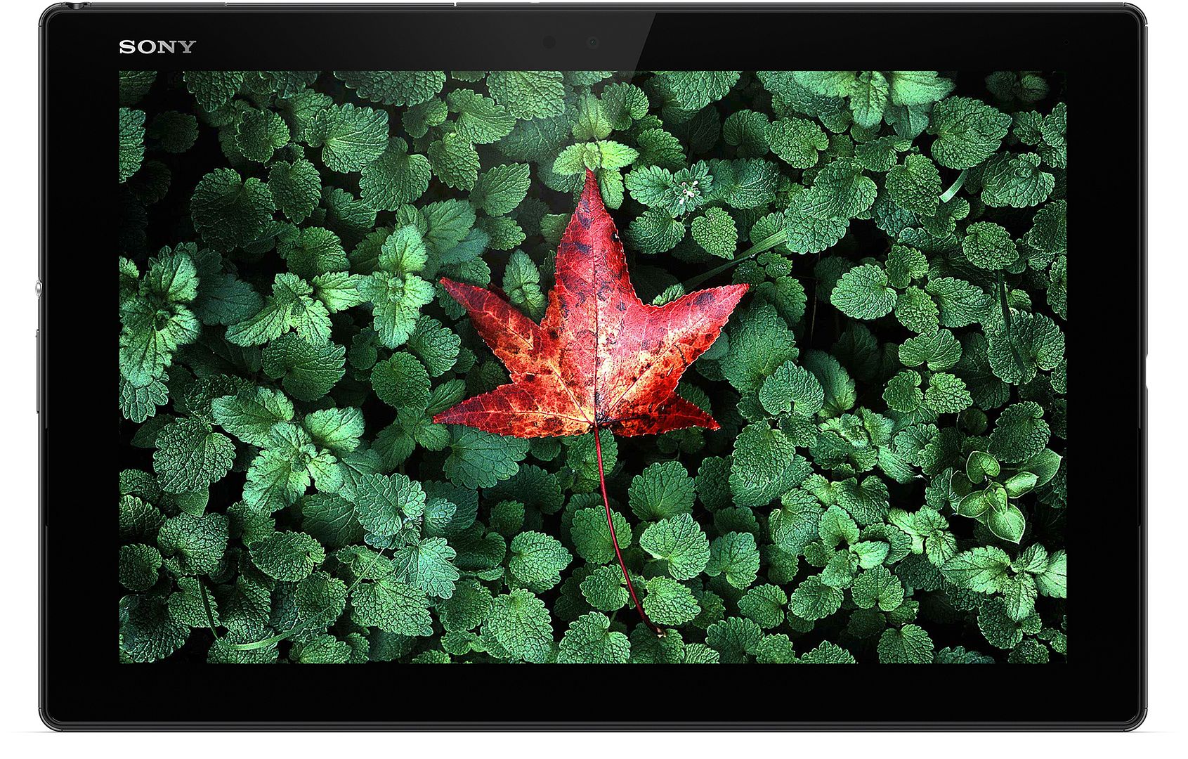 Sony Xperia Z4 Tablet