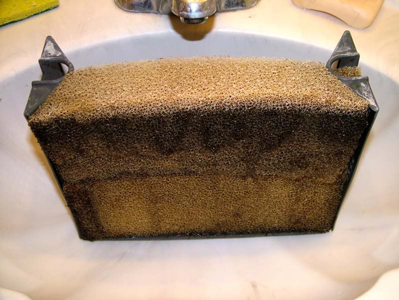 Aqua Clear filter MOD 2x efficiency plus nitrate capability