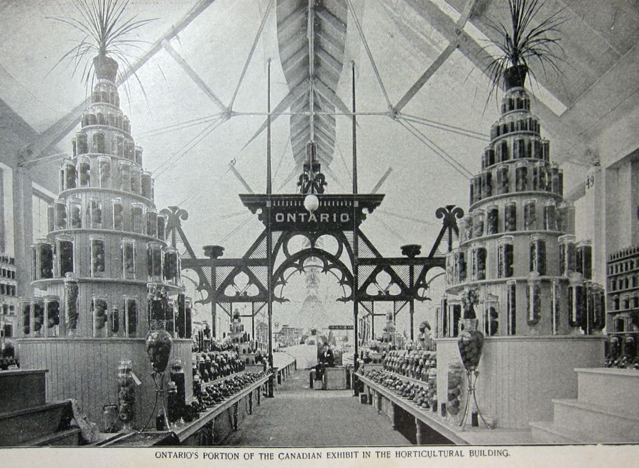  photo IMG_3569_zps1c287449.jpg