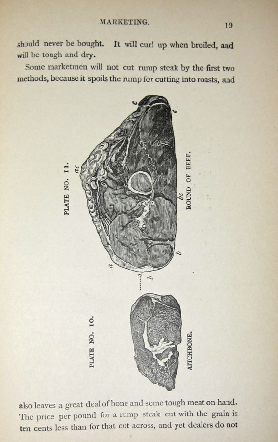  photo IMG_3582_zpsdb216498.jpg