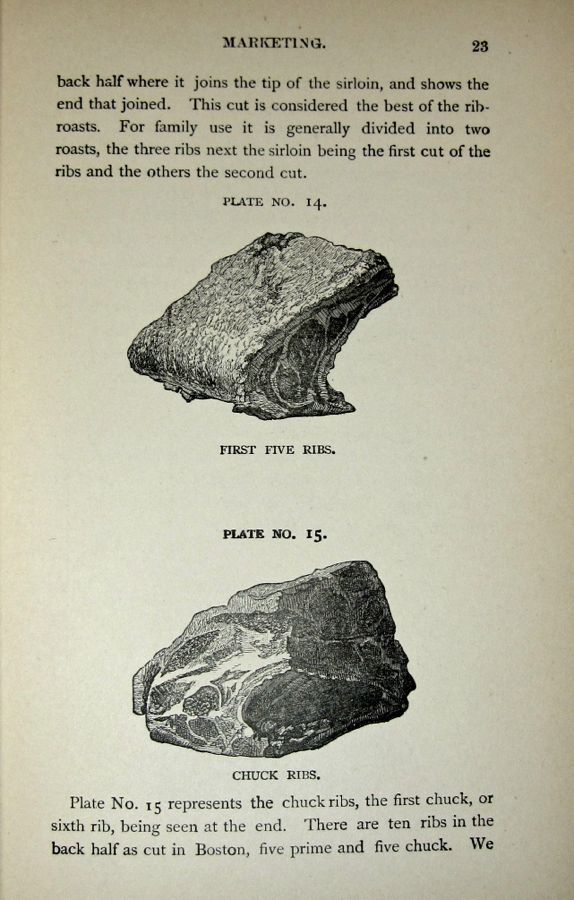  photo IMG_3583_zpsc7aed6da.jpg