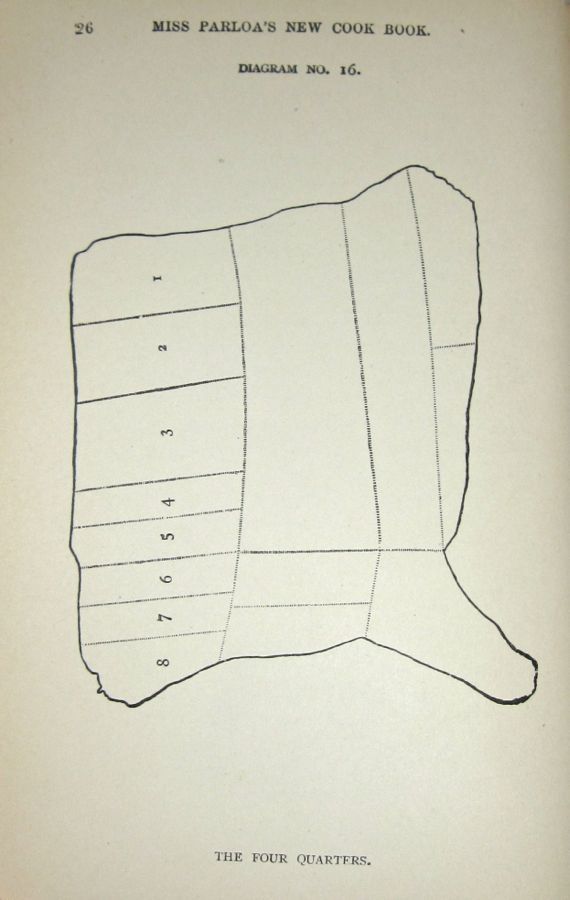  photo IMG_3584_zps91779c92.jpg