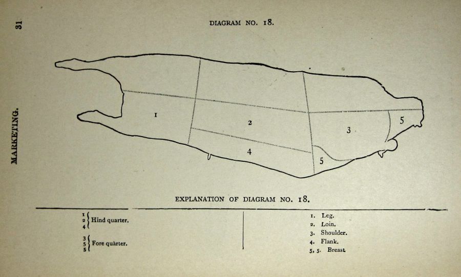  photo IMG_3585_zpsb2ba991f.jpg