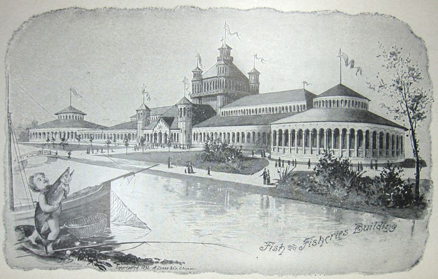  photo IMG_3002_zps995dc0f4.jpg