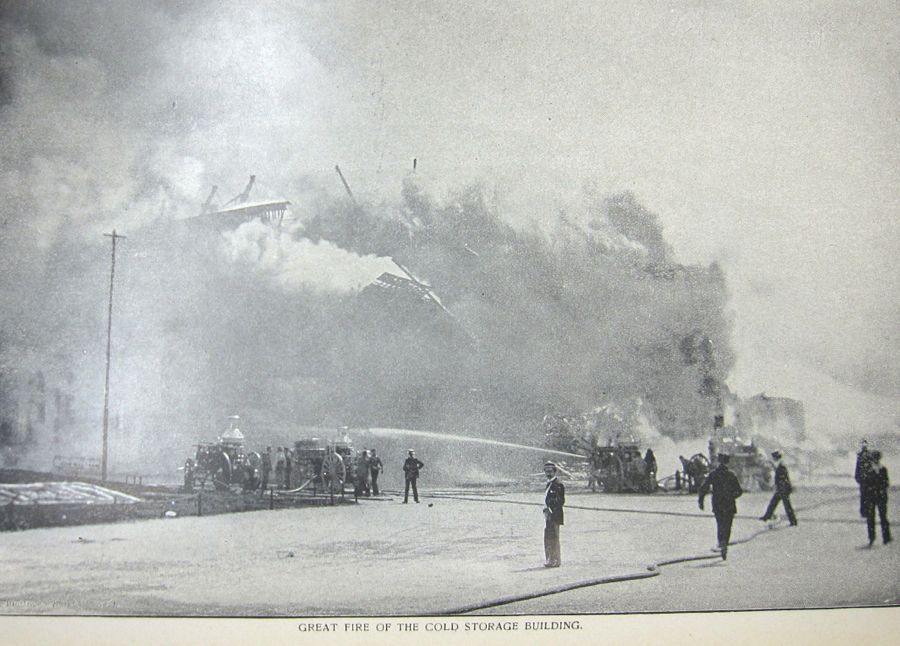  photo IMG_3006_zps31d0664d.jpg