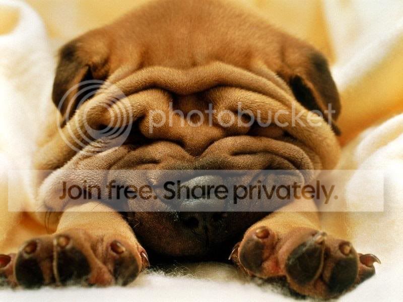 untitled25252.jpg